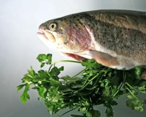 Angeln und frischen Fisch zubereiten