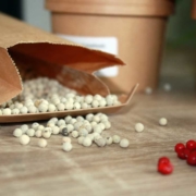 Beim Kochen kommt es auf die Gewürze an