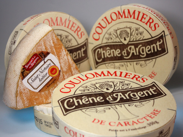 Französische Lebensmittel Chene d'Argent Käse