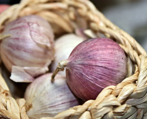 Frischer Knoblauch – so gesund ist das Gemüse