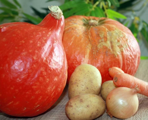 schnelles und leckeres Kürbis Suppe Rezept