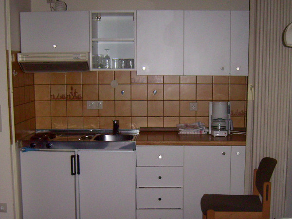 Neue Küche - Einzelne Küchenmöbel oder Einbauküche