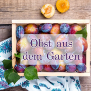 Was macht man mit zu viel Obst aus dem Garten?