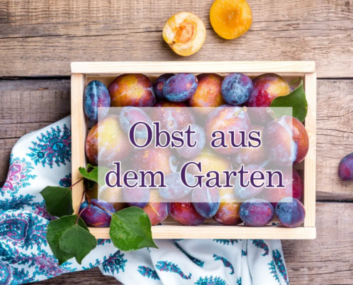 Was macht man mit zu viel Obst aus dem Garten?