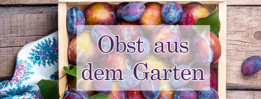 Was macht man mit zu viel Obst aus dem Garten?