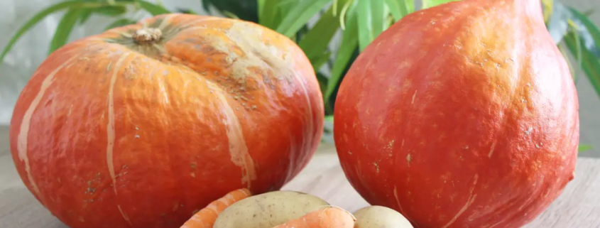 Saisonales Gemüse für günstige Rezepte