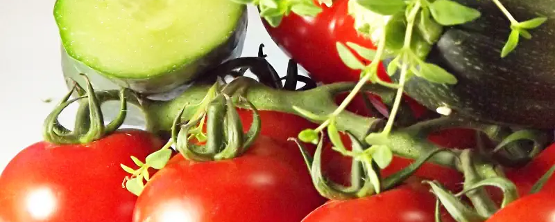 Frische Zutaten für Salat Rezepte von Die-Kochnische.de