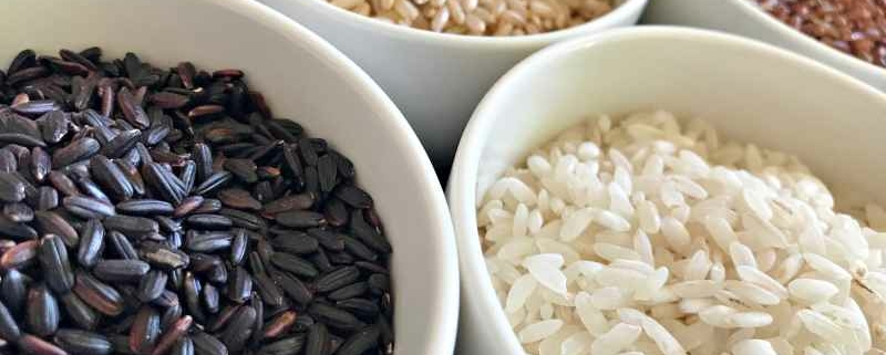 Verschiedene Reissorten: Natur Reis, Schwarzer Vollkornreis, Roter Vollkornreis, Bio Milchreis